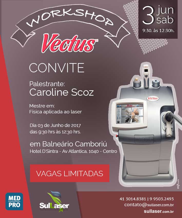 Vectus sullaser-workshop